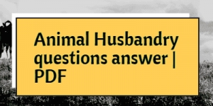 Animal husbandry coaching